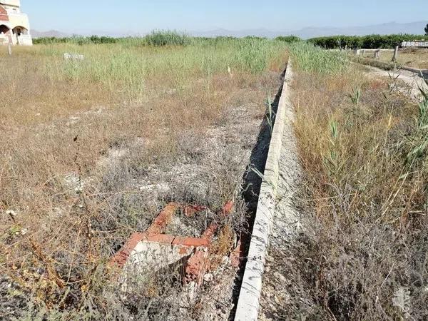 Terreno en Orihuela Ciudad photo 1