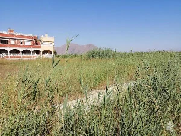 Terreno en Orihuela Ciudad photo 3