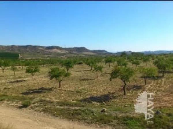 Terreno en Orihuela Ciudad photo 1