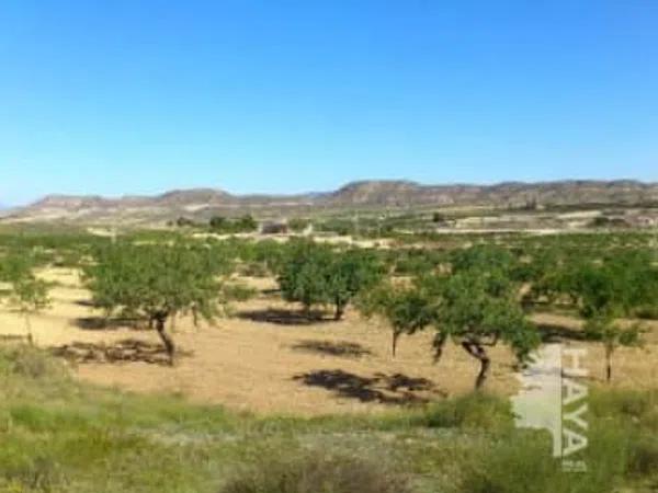 Terreno en Orihuela Ciudad thumbnail 1