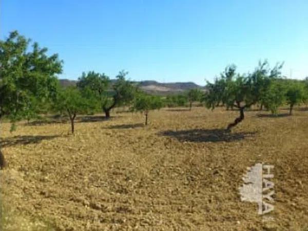 Terreno en Orihuela Ciudad photo 3