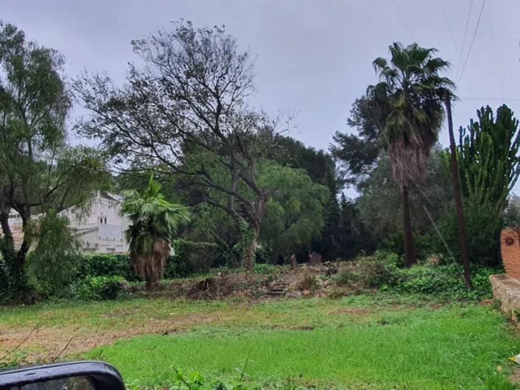 Terreno en venta en Jávea/Xàbia, Alicante photo 5