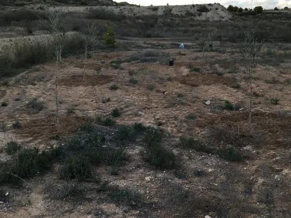 Terreno en camino Viejo de Saladas, 42 thumbnail 1