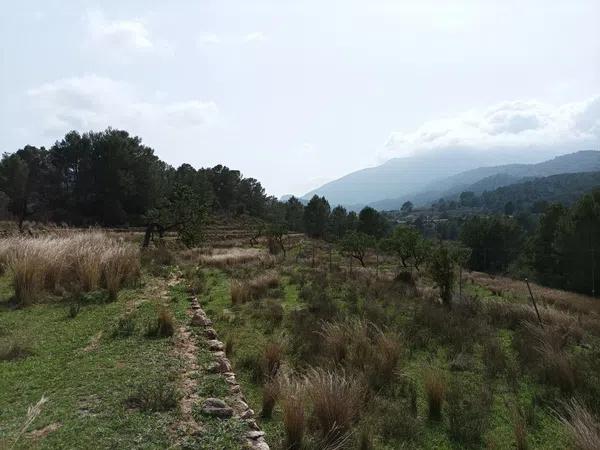 Terreno en Partida Vinyent, 19 photo 1