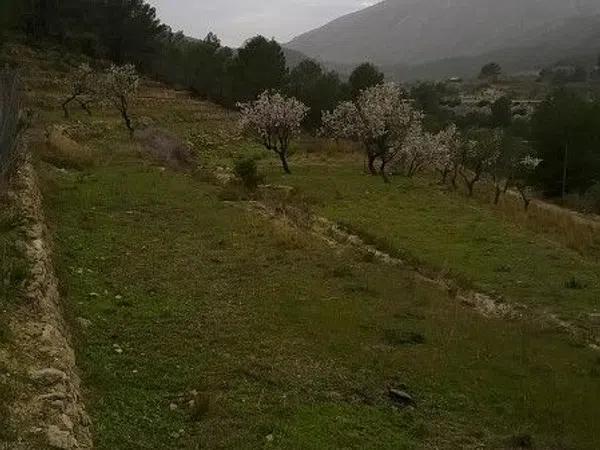 Terreno en Partida Vinyent, 19 photo 4