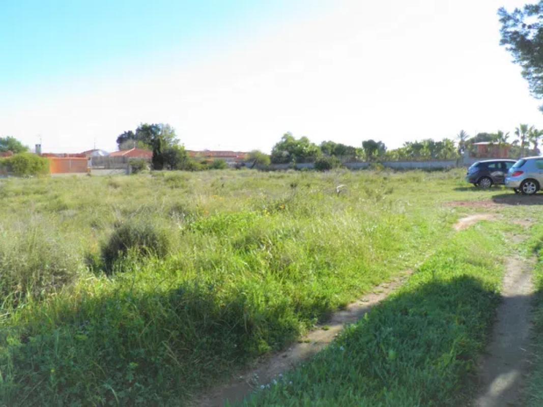 Terreno en venta en Alicante / Alacant, Alicante photo 1