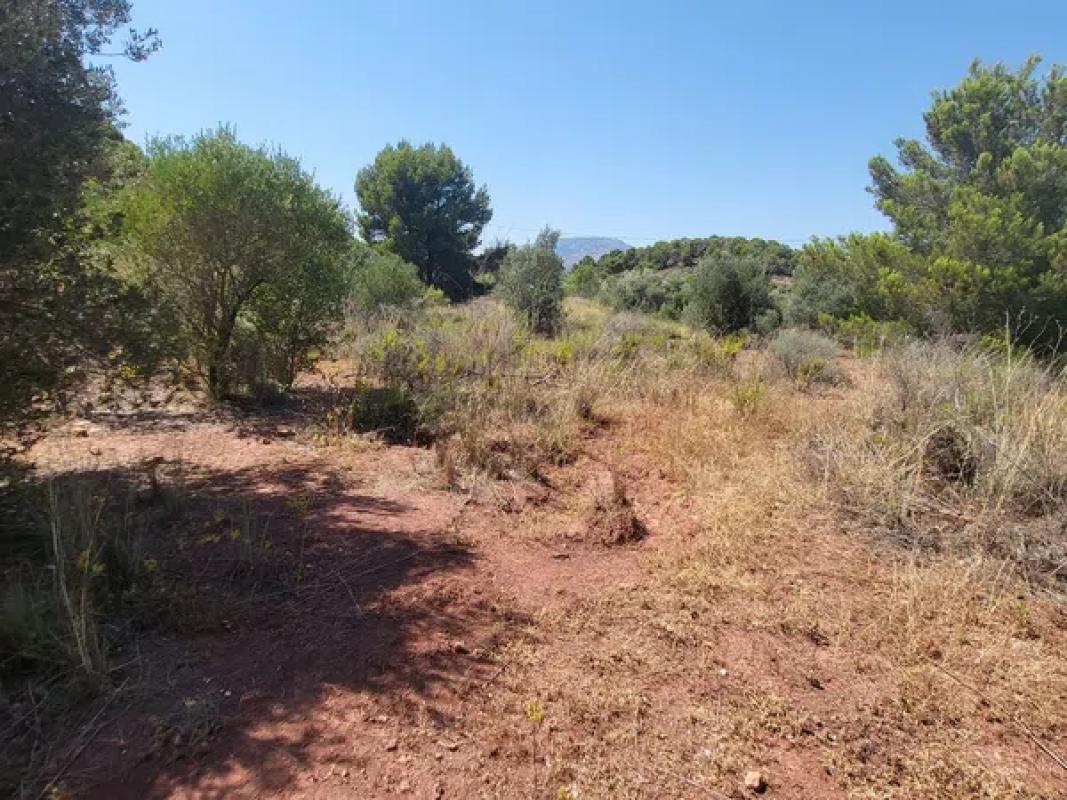 Terreno en venta en La Nucia, Alicante photo 1