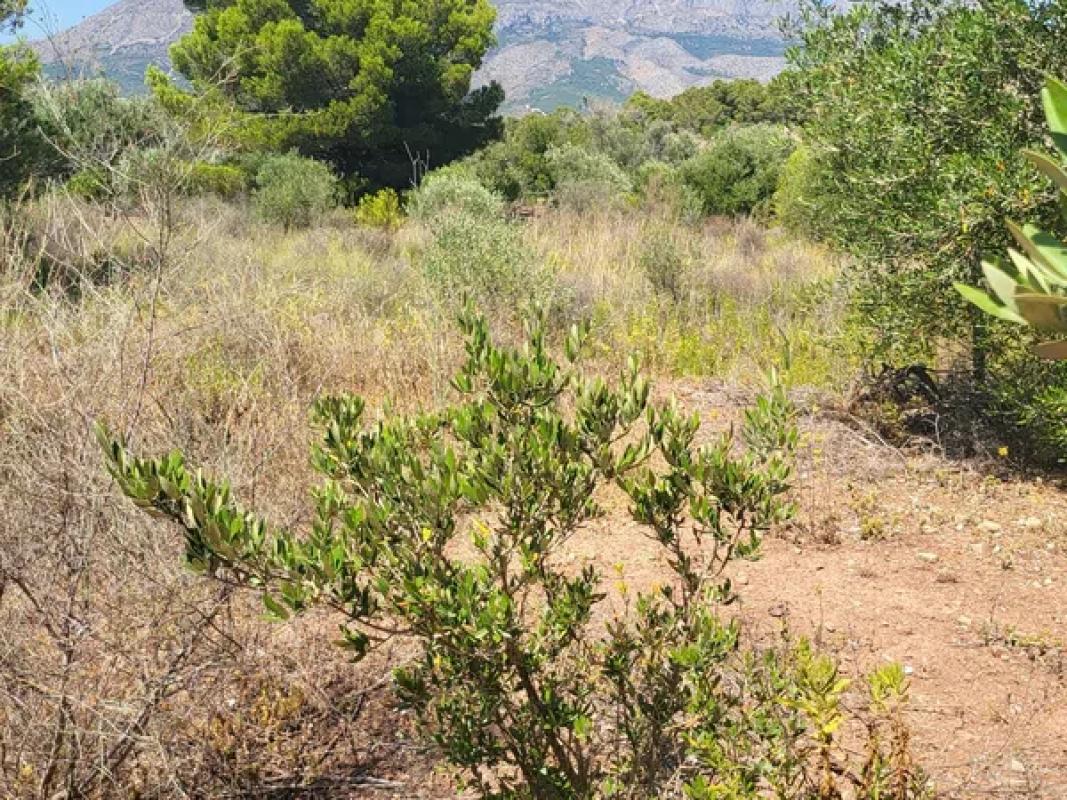 Terreno en venta en La Nucia, Alicante photo 3