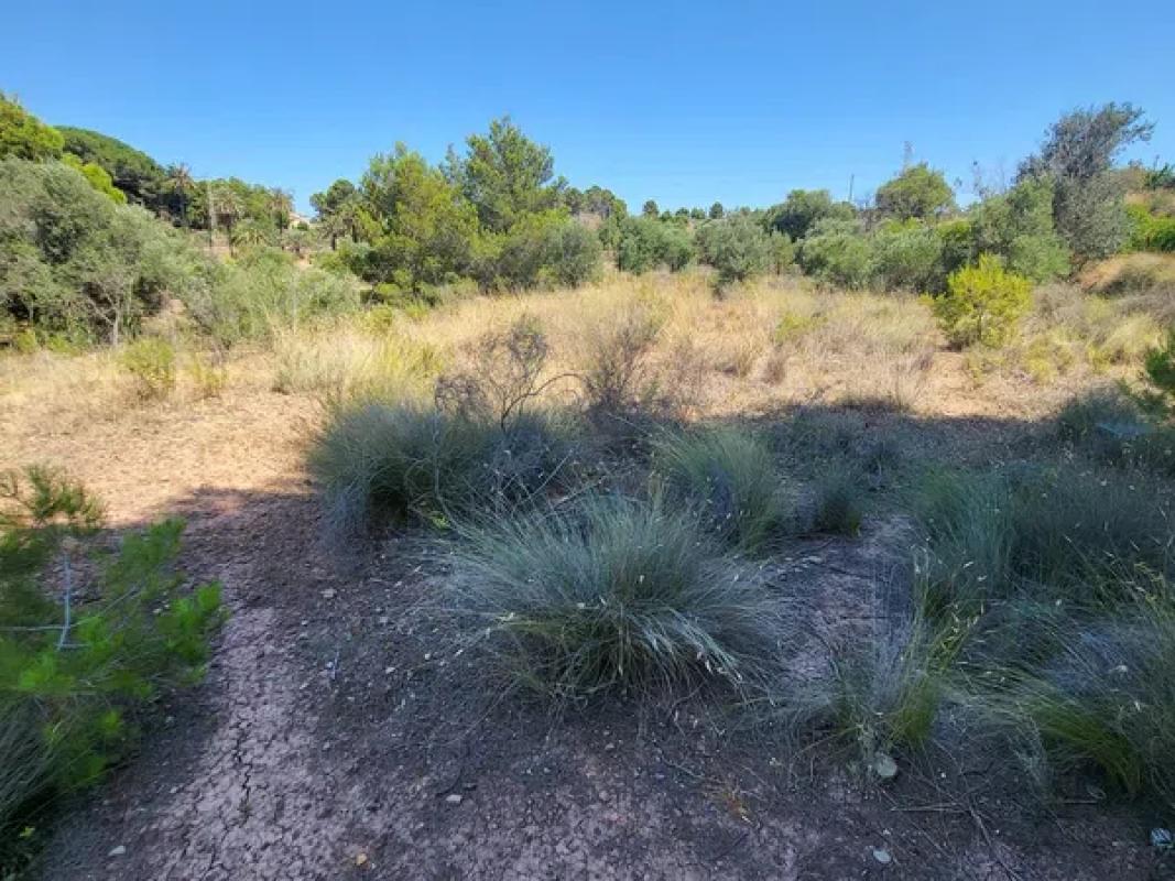 Terreno en venta en La Nucia, Alicante photo 5