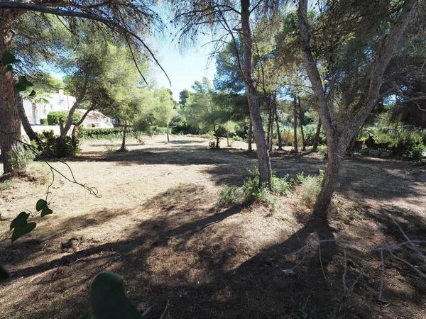 Terreno en Cap Martí - Pinomar photo 4