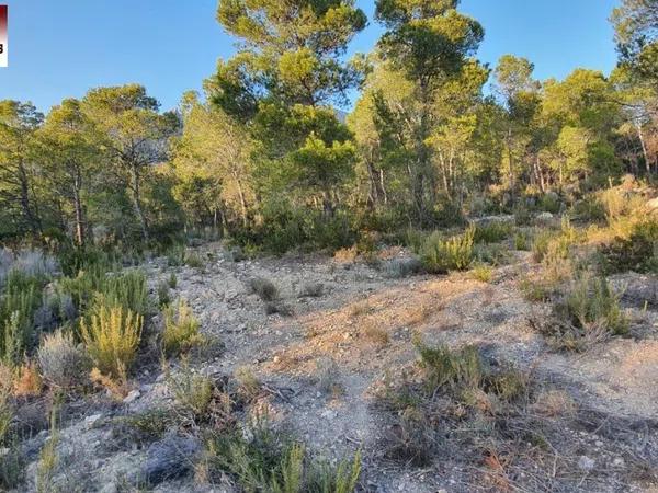 Terreno en Finestrat Pueblo photo 3