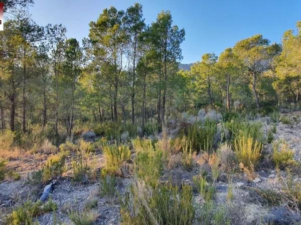 Terreno en Finestrat Pueblo photo 4