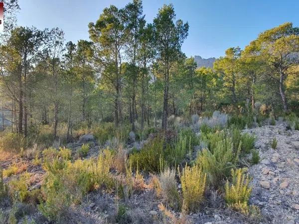 Terreno en Finestrat Pueblo photo 3