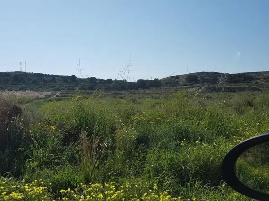 Terreno en venta en Elche / Elx, Alicante photo 1