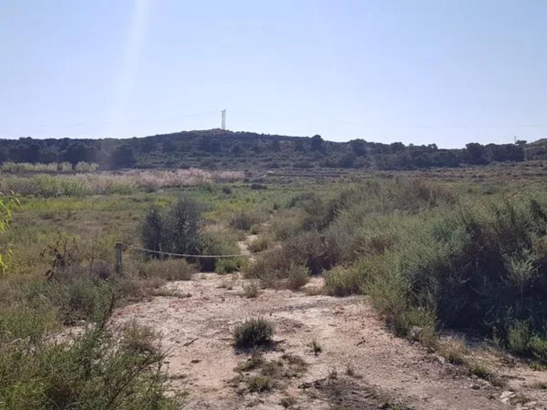 Terreno en venta en Elche / Elx, Alicante photo 2