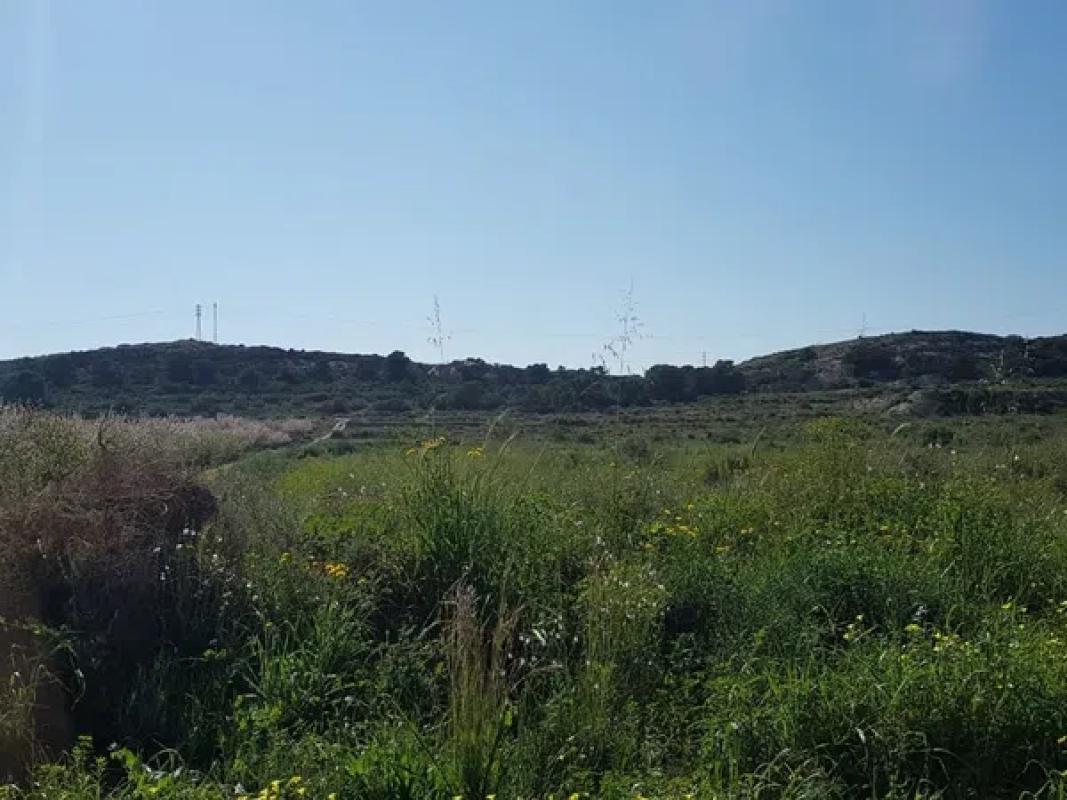 Terreno en venta en Elche / Elx, Alicante photo 3