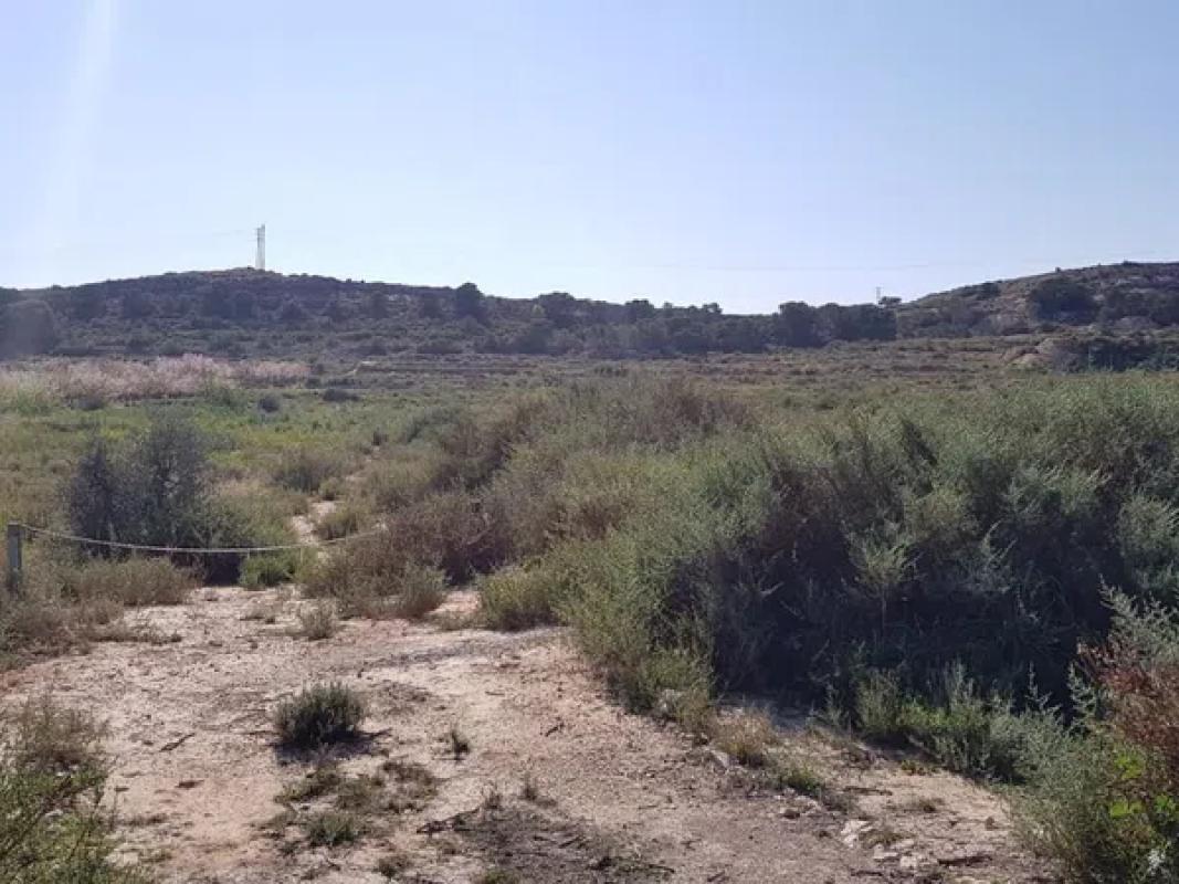 Terreno en venta en Elche / Elx, Alicante photo 4
