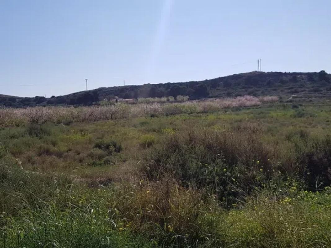 Terreno en venta en Elche / Elx, Alicante photo 5