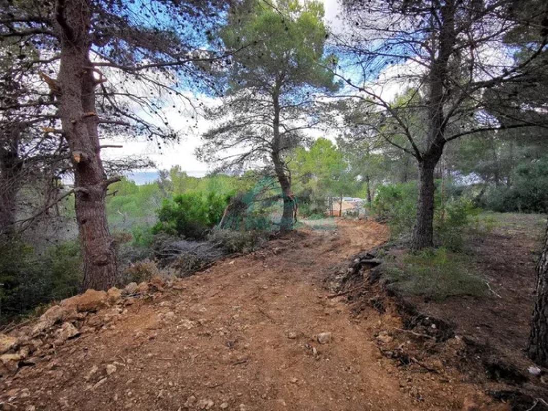 Działka na sprzedaż w Dénia, Alicante photo 2