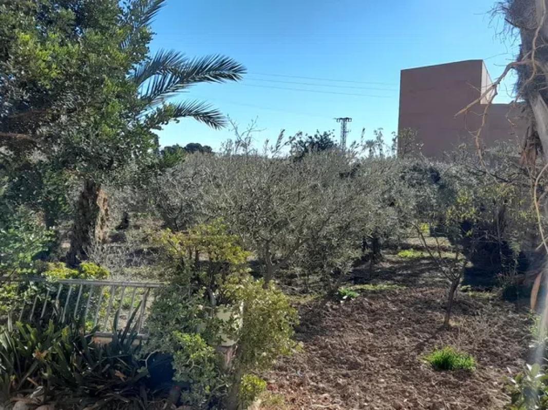 Land for sale in Mutxamel, Alicante photo 5