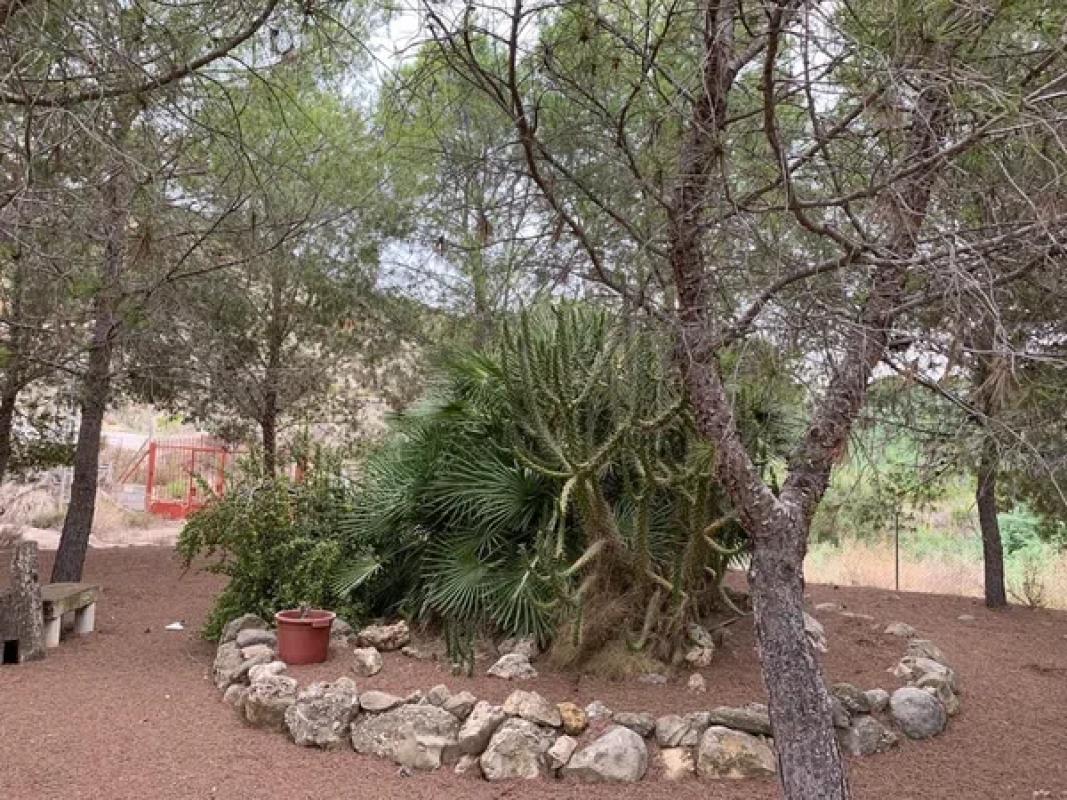 Terreno en venta en Orihuela, Alicante photo 2