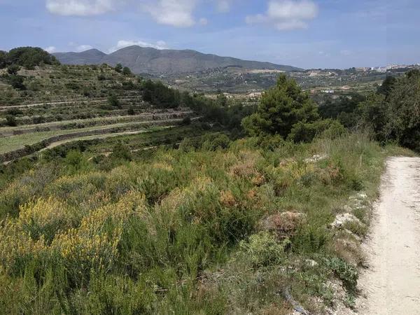 Terreno en camino Tros de llenes s/n photo 3