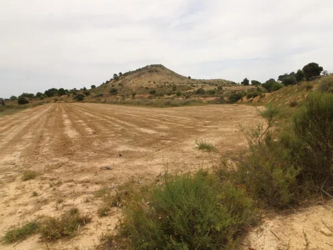 Terreno en venta en Aspe, Alicante photo 2