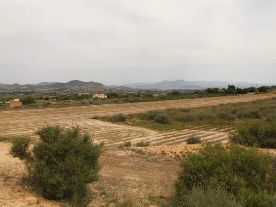 Terreno en venta en Aspe, Alicante photo 3