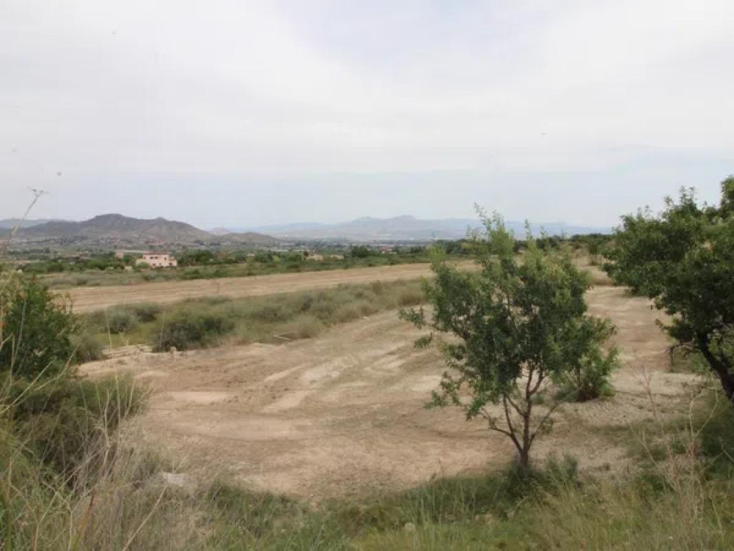 Terreno en venta en Aspe, Alicante photo 5