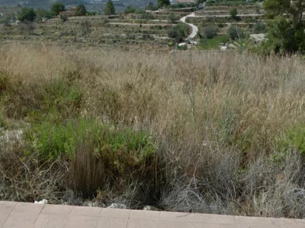 Land for sale in Calpe, Alicante photo 1