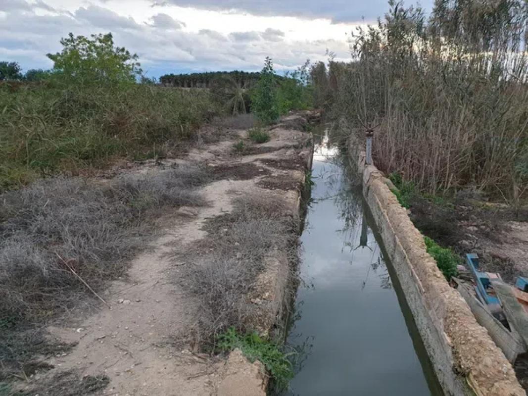 Terreno en venta en Elche / Elx, Alicante photo 4