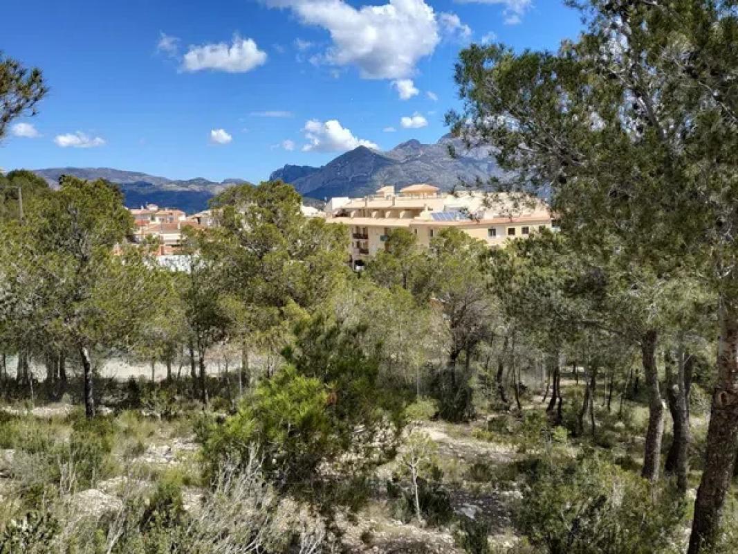 Terreno en venta en La Nucia, Alicante photo 4