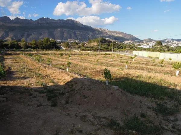 Terreno en Partida la Pila s/n photo 1