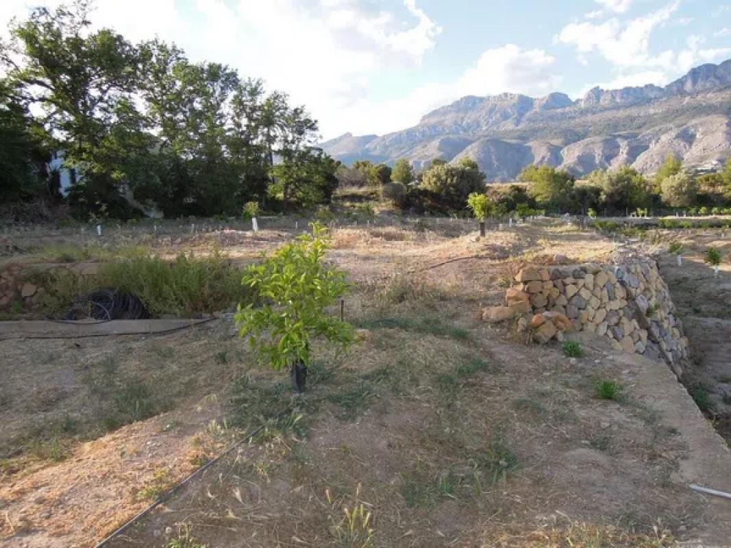 Terreno en venta en Altea, Alicante photo 2