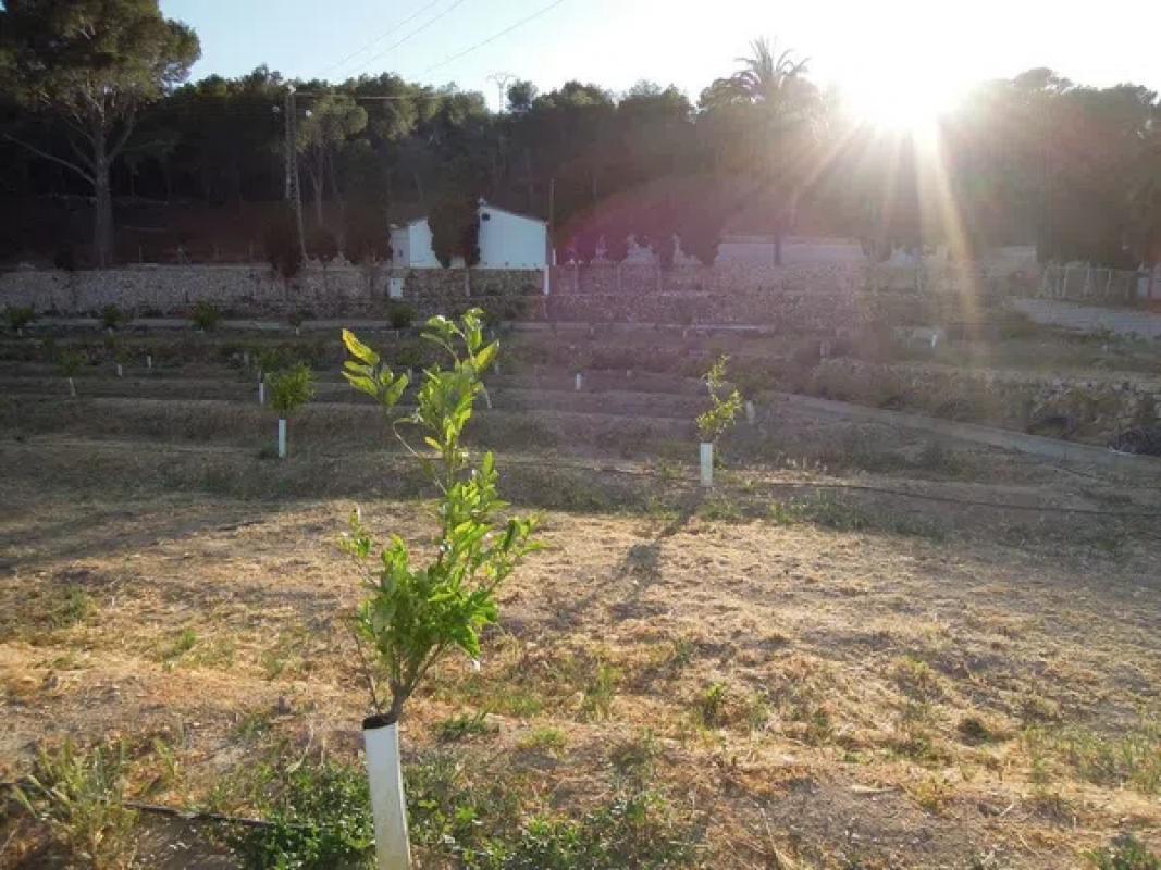 Terreno en venta en Altea, Alicante photo 3