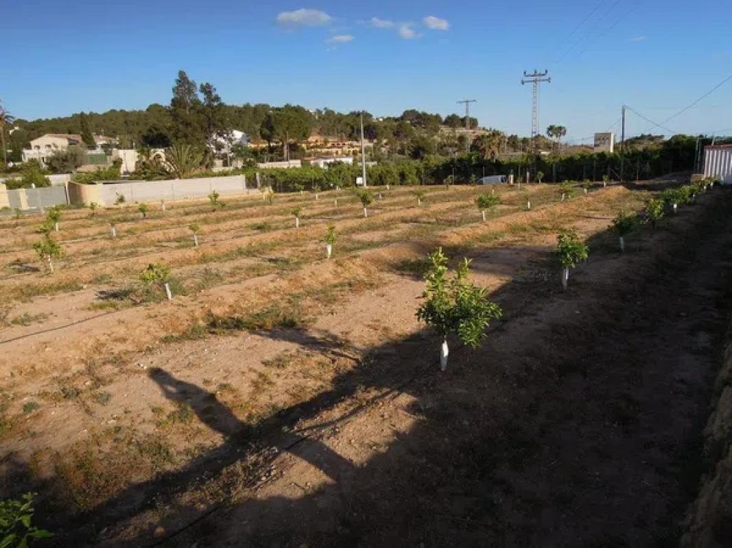 Terreno en venta en Altea, Alicante photo 4