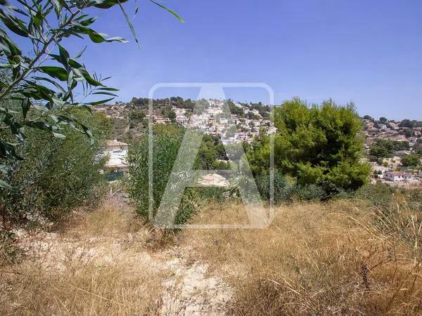 Terreno en La Viña - Montemar - San Jaime thumbnail 2
