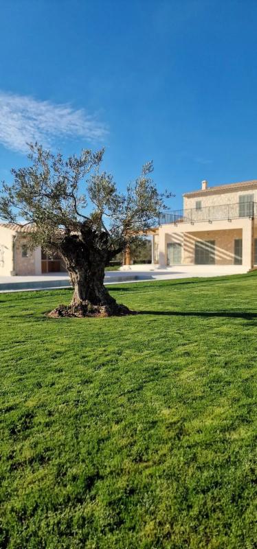 Obra nueva Son Calent en Santanyí (Revista) photo 3
