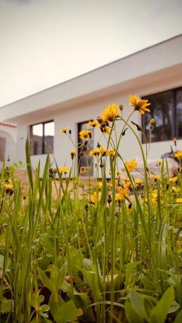 Promotion Casa Linda new development in Llagostera photo 1