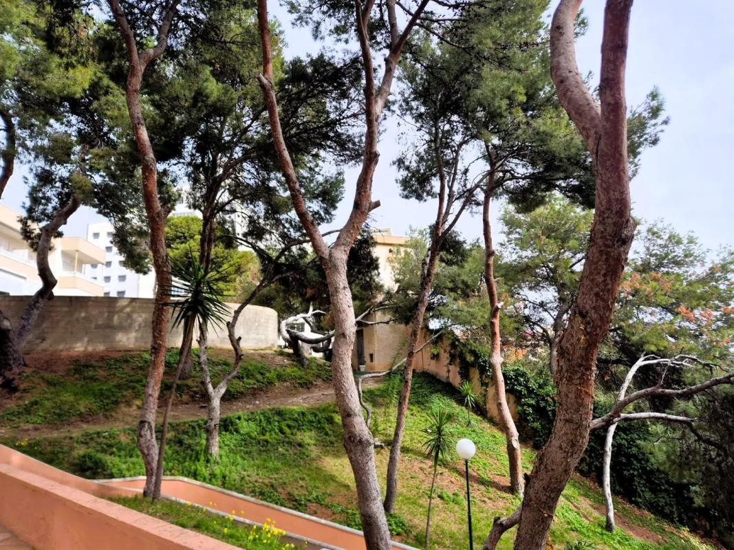 Sale of apartment in Avenida d'Alcoi, El Campello
photo 3