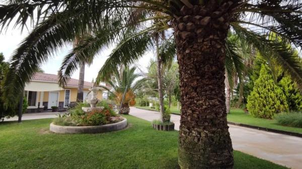 Casa independiente photo 3