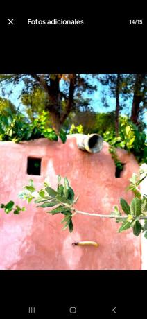 Casa independiente en camino ample, 38 photo 1