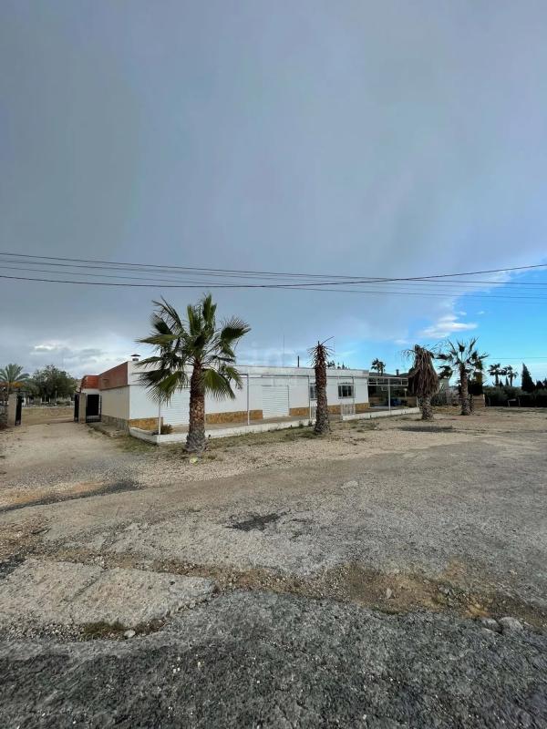 Sale of independent chalet in CV-850, 5, Elche / Elx
photo 4