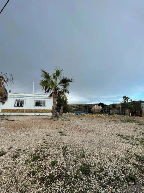 Sale of independent chalet in CV-850, 5, Elche / Elx
photo 5