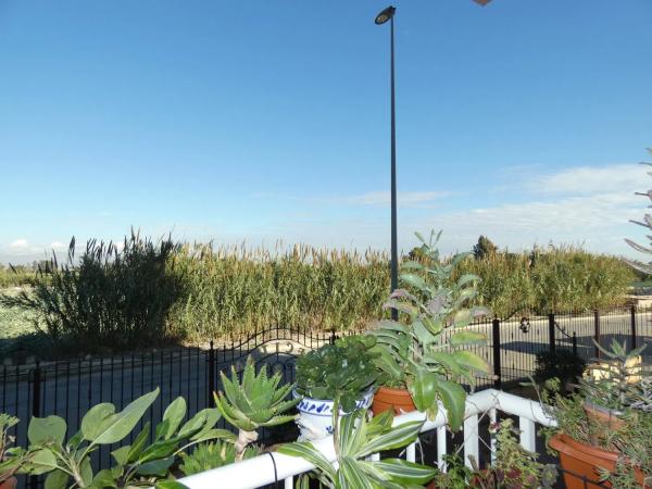 Venta de piso en Algorfa, Algorfa
photo 1