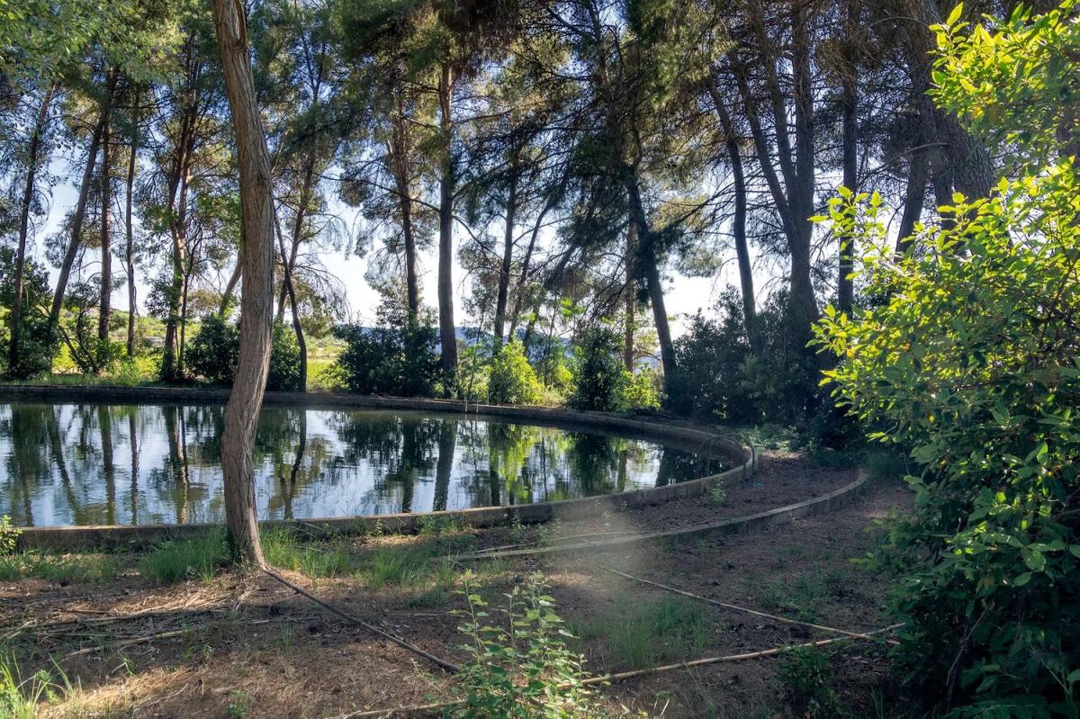 Properties for sale and rent in Spain photo 5