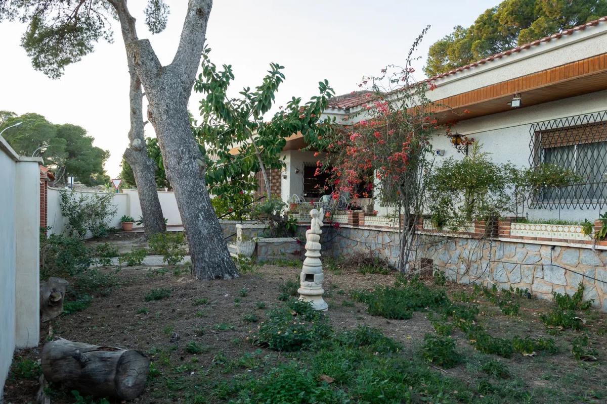 Properties for sale and rent in Spain photo 1
