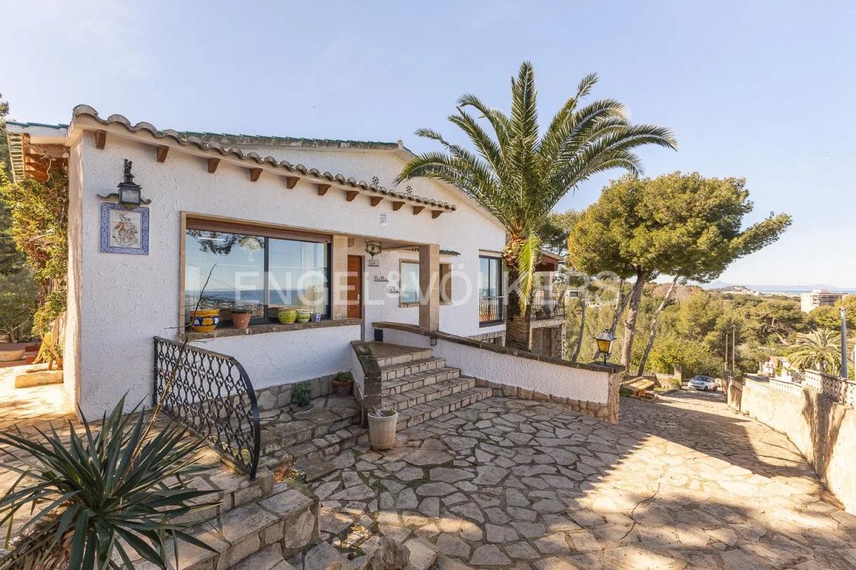 Properties for sale and rent in Spain photo 3