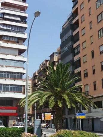 Пентхаус на продажу в  Calle Pintor Aparicio, Аликанте photo