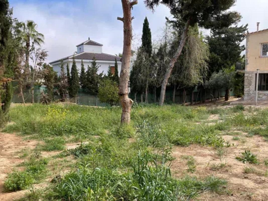 Properties for sale and rent in Spain photo 2